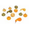 12 Citrouilles multi-colore 12 Citrouilles multi-colore