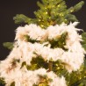 Un sapin décoré de guirlandes en plumes douces et lumineuses, sur fond sombre.