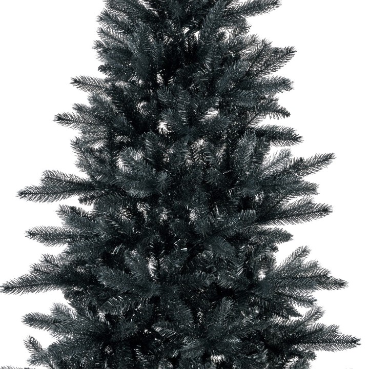 Sapin noir aux branches fournies, sur fond blanc épuré.