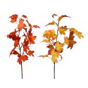 Assortiment de 2 branches d'érable