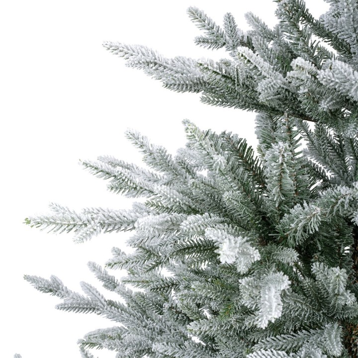 Branches de sapin recouvertes de neige scintillante sur fond blanc.