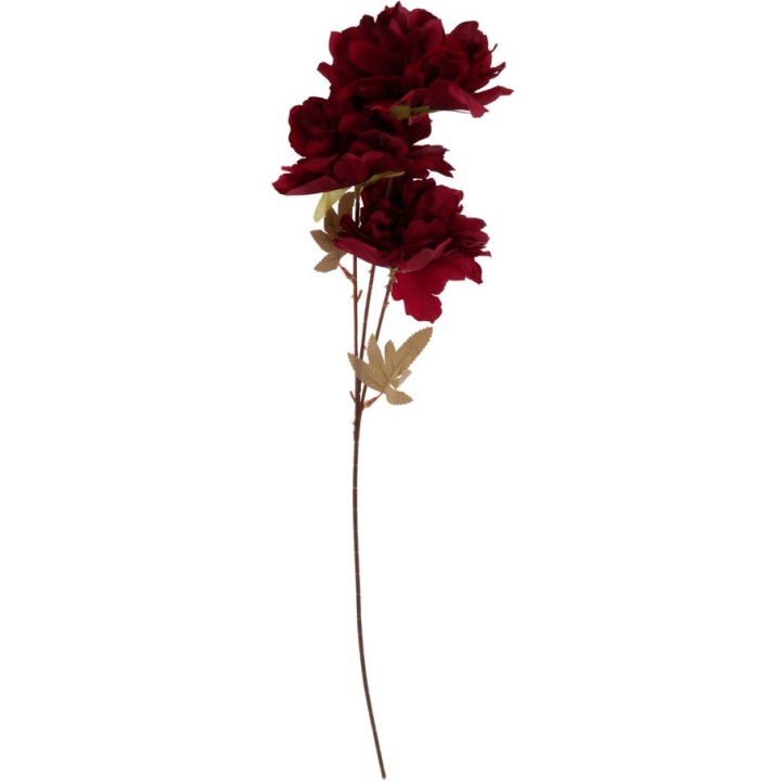 Fleur rouge foncé sur tige avec feuilles vertes, élégante et délicate.