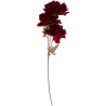 Fleur rouge foncé sur tige avec feuilles vertes, élégante et délicate. Fleur rouge foncé sur tige avec feuilles vertes, élégante et délicate.