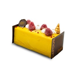 Gâteau rectangulaire aux couleurs vives, garni de framboises et crème, décoré de chocolat.
