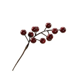 Branche fine avec des baies rouges brillantes, sur fond neutre.