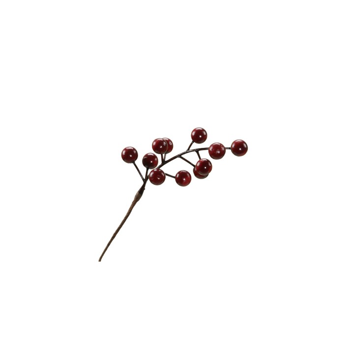 Branche fine avec des baies rouges brillantes, sur fond neutre.