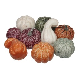 Un assortiment de courges aux teintes variées, formes irrégulières et textures uniques.