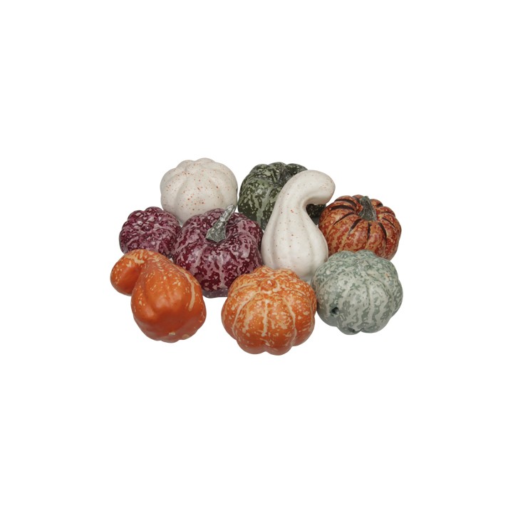 Un assortiment de courges aux teintes variées, formes irrégulières et textures uniques.