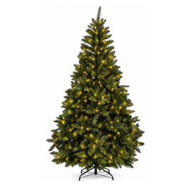 Sapins de Noël vert dense, illuminé par des lumières chaudes, sur un support noir.