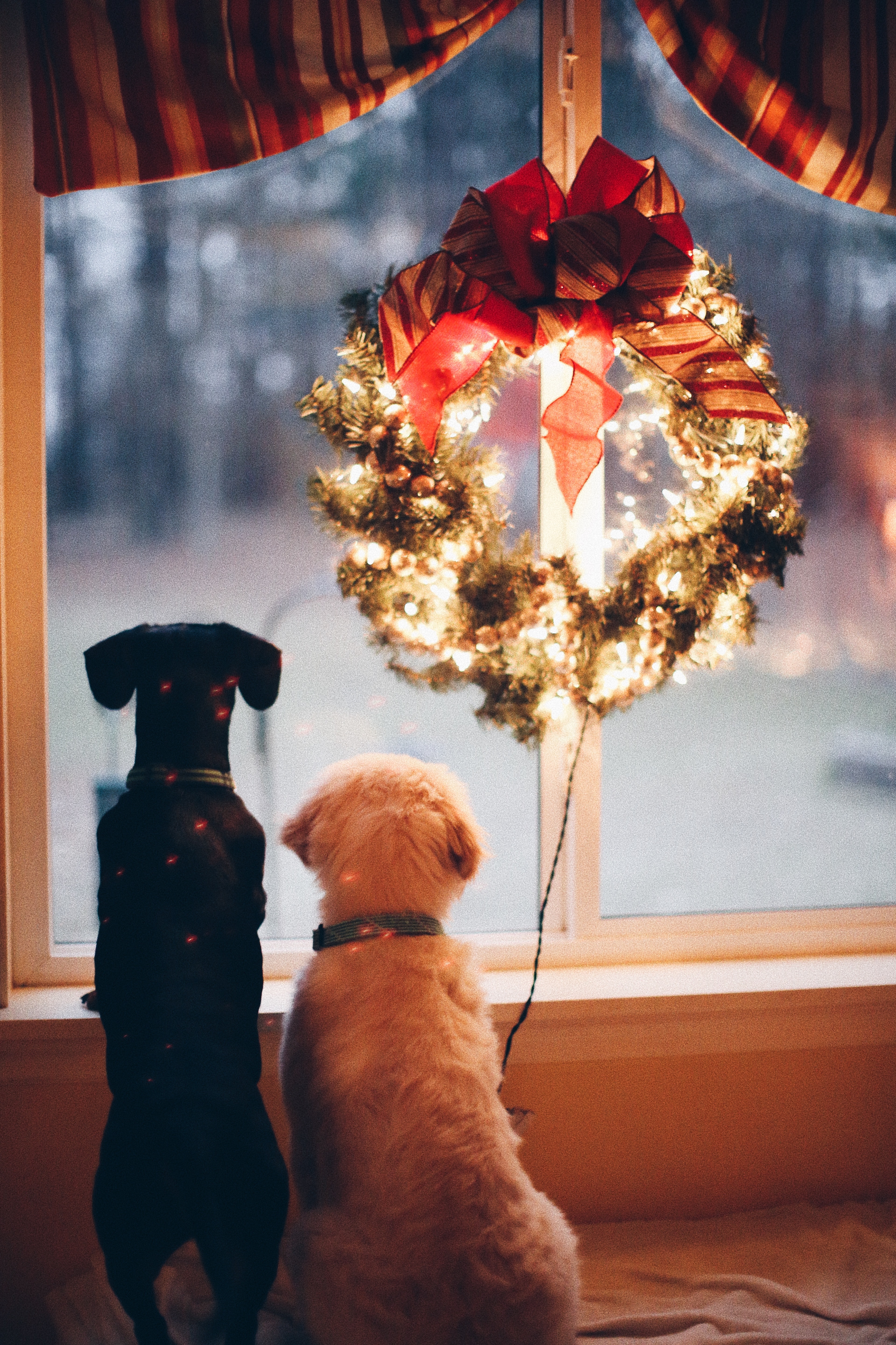 Couronne de Noel à la fenêtre