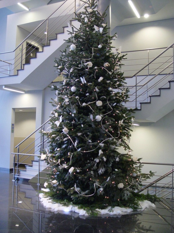 Vitrine classique de sapin de Noël dans environnement traditionnel