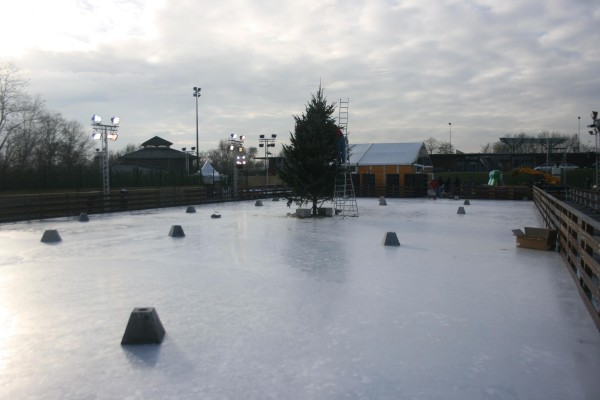 Sapins exposition neige patinoire hiver
