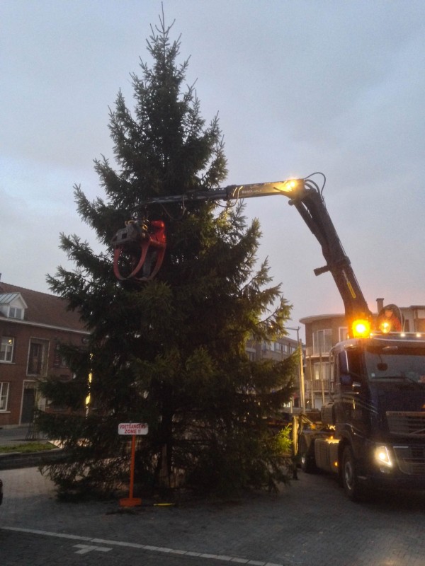 Sapin de Noël blanc élégant dans cadre haut de gamme