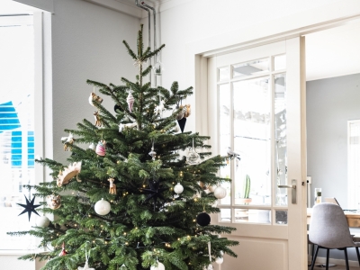 Décoration sapin : comment sublimer son sapin de Noël ?