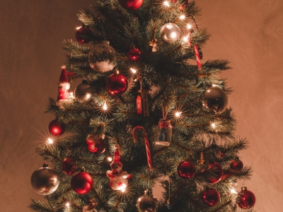 Choisir et commander son sapin artificiel en France ?