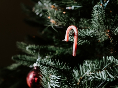 Comment choisir son sapin de Noël artificiel ?