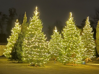 Comment accrocher une guirlande lumineuse ?