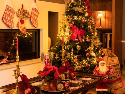 Pourquoi commander sur Sapins.fr ?  